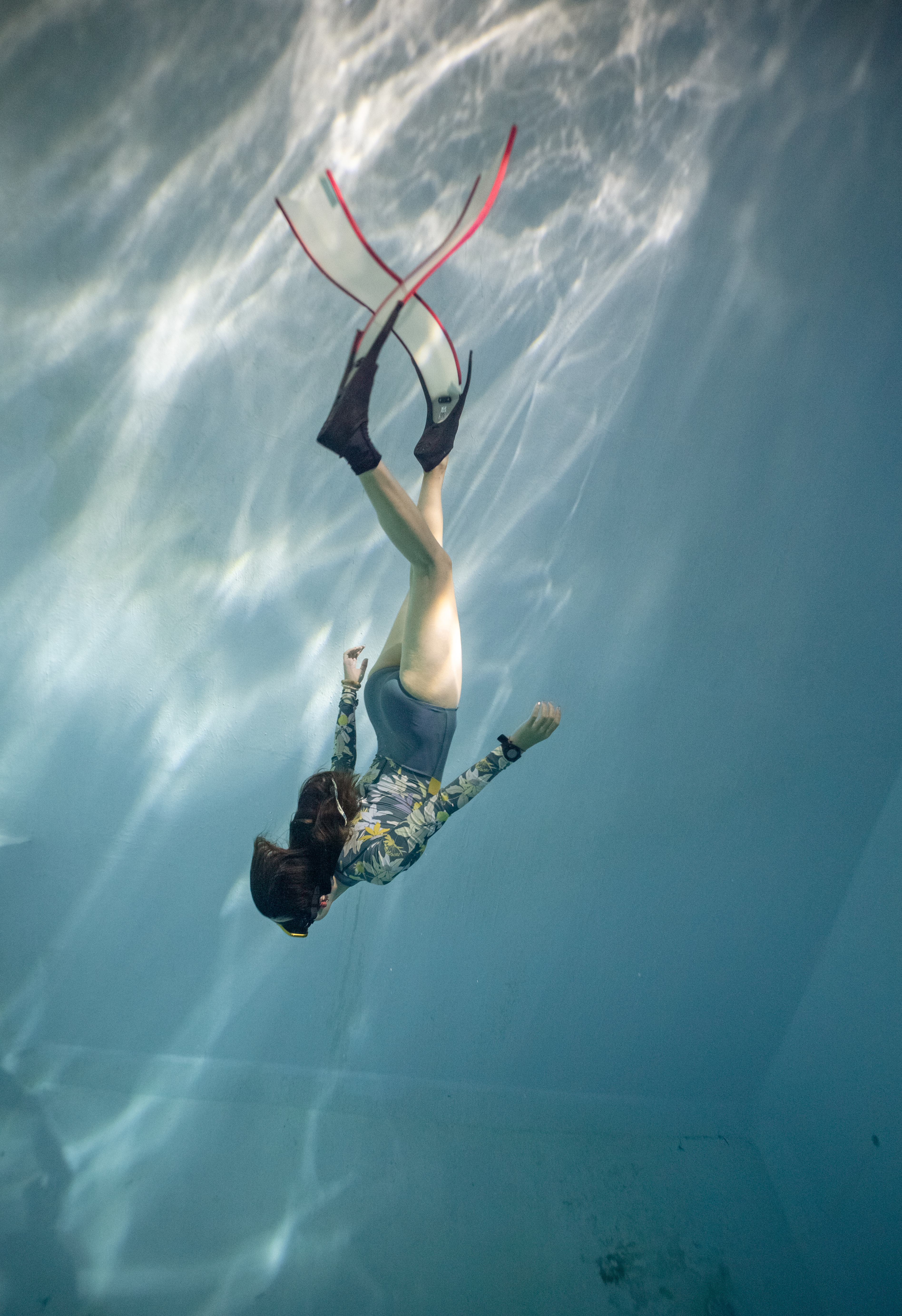 自由潜训练日历